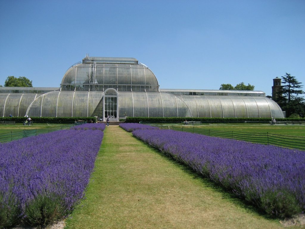 Royal Botanical Garden