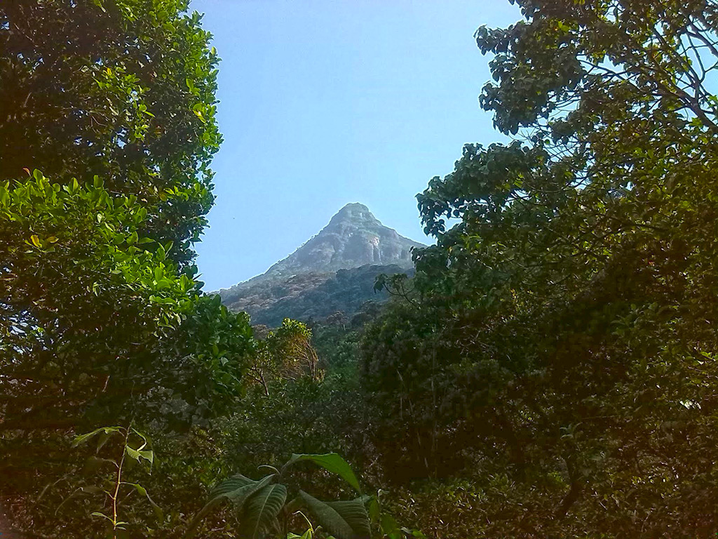 Adam's Peak