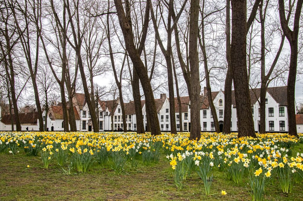 Begijnhof