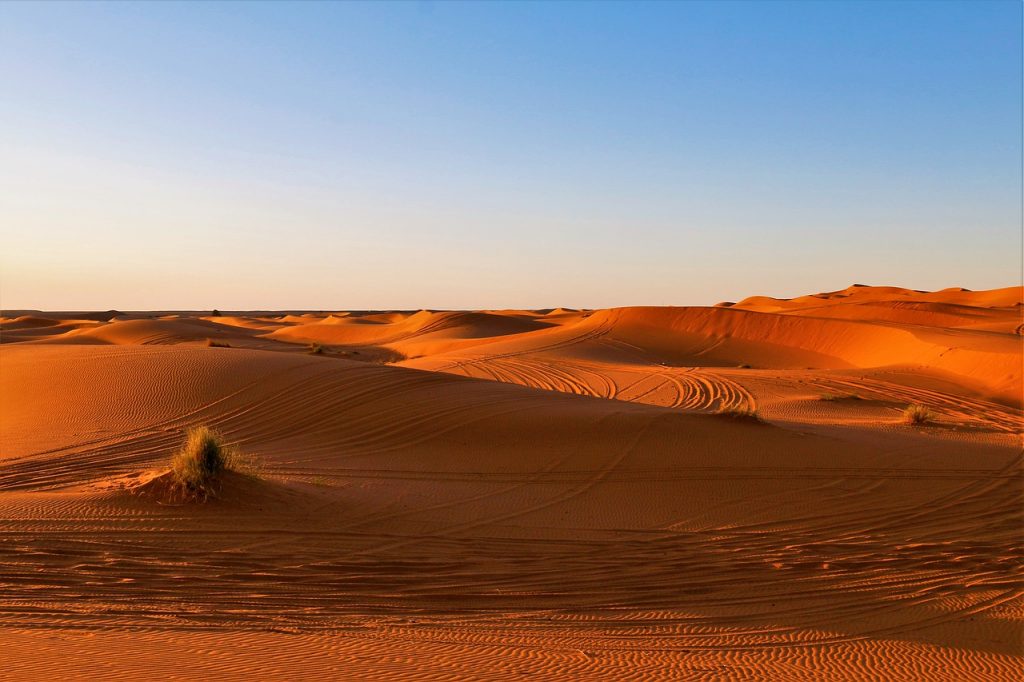 The Sahara Desert