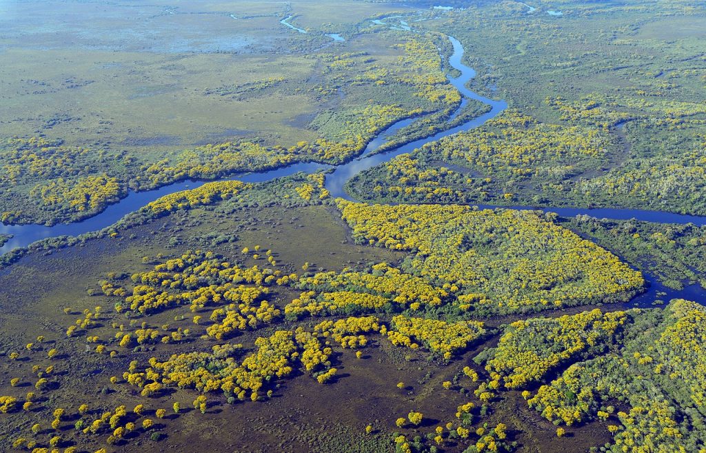 Pantanal