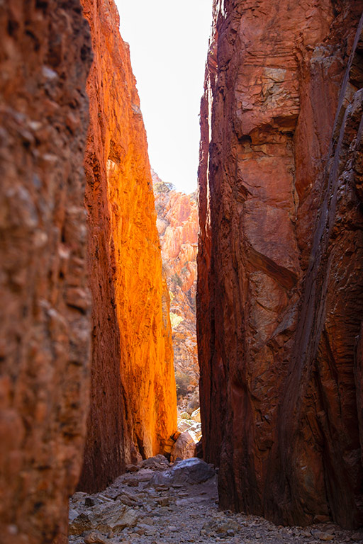 Echidna Chasm